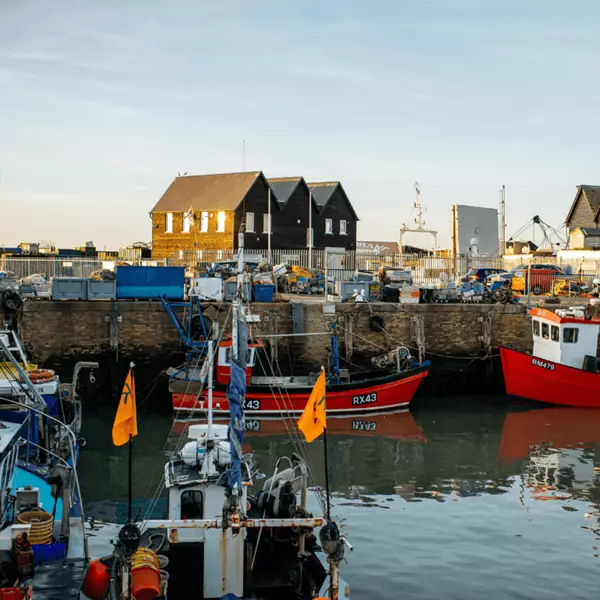 Whitstable 800X800